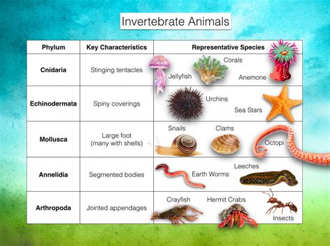 Invertebrates Nature Journals