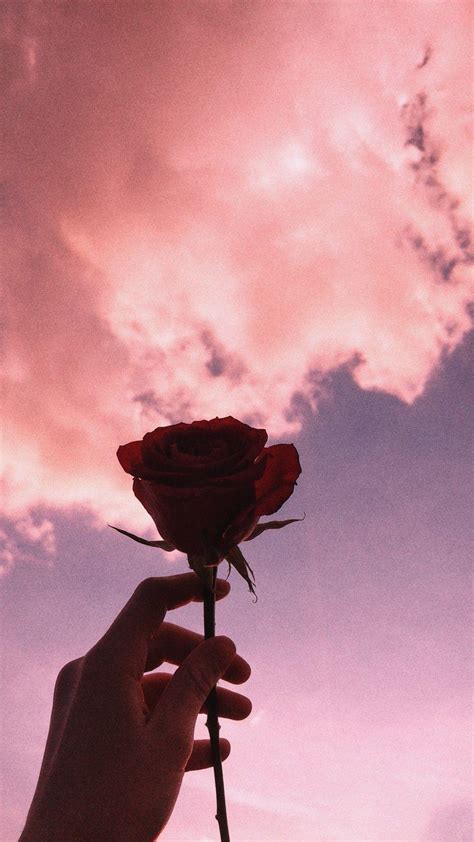 Red Rose Aesthetic Background Wallpapers Aesthetic Iphone Light Giblrisbox Wallpaper