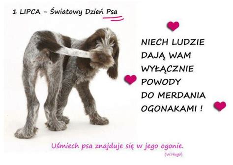 Psa, psa, psa, or psa may refer to: Życzenia na Dzień Psa - Gify i obrazki na GifyAgusi.pl