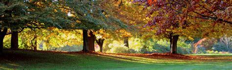 The Murray Chronicles The Long Shadows Of The Autumn Sun