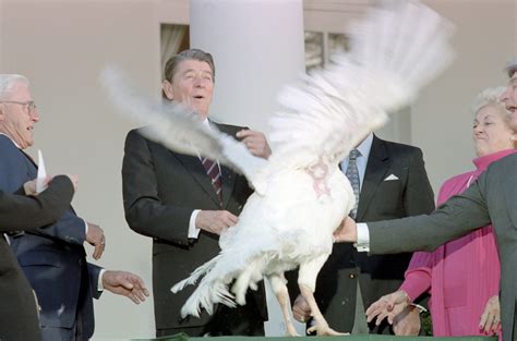 the presidential turkey pardon s weird roots go back to the iran contra scandal wabe