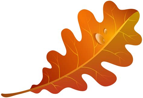 Orange Leaf Clip Art Clipart Best