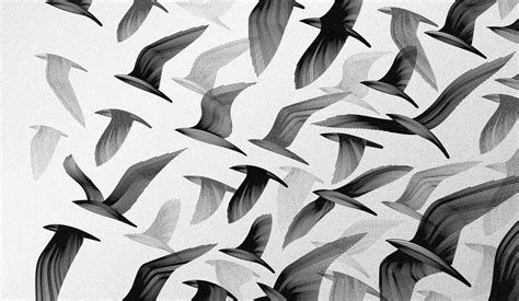 1920x1116 Black And White Birds Digital Art Monochrome Artwork