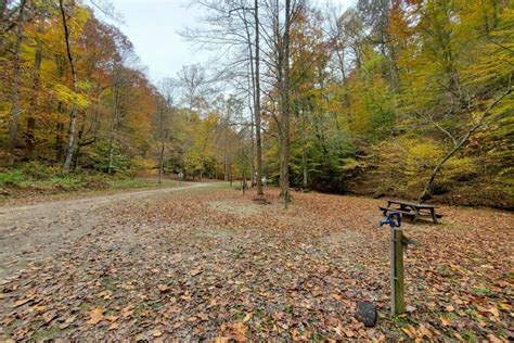Surrounded by nature in rugged pocahontas county, seneca offers peace and solitude for guests searching for a quiet getaway. Kanawha State Forest Campground (Charleston, WV)