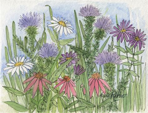 Landscape Wildflower Nature Art Watercolor White Daisies Pink Coneflower Purple Asters Thistle