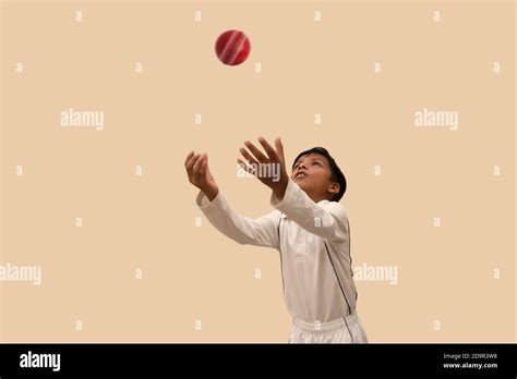 Boy Catching Cricket Ball Stock Photo Alamy