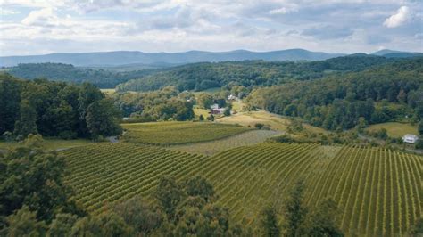7 Must Visit Vineyards In Shenandoah Valley Shenandoah Valley