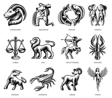 Black And White Zodiac Signs Vector Set On White Background