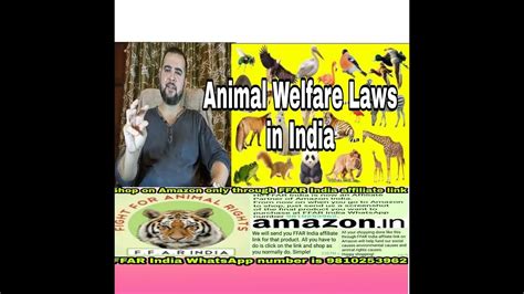Animal Welfare Laws in India #AnimalWelfare #AnimalRightsLaws #
