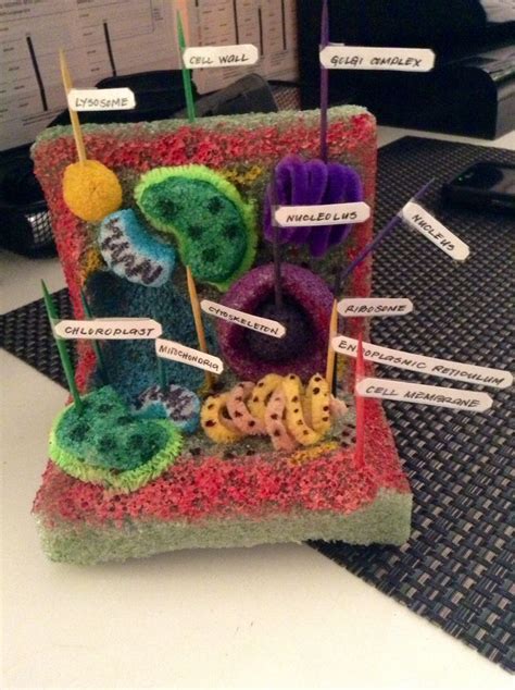 My Plant Cell Project Made Of Styrofoam Pipe Cleaners