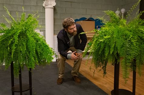 Can ‘between Two Ferns The Movie Save Netflix Arts The Harvard