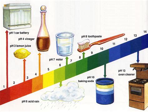 What Are Acids And Alkalis Ency123