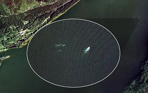 Zoek lokale bedrijven, bekijk kaarten en vind routebeschrijvingen in google maps. Is this Nessie on Google Earth? | Daily Mail Online