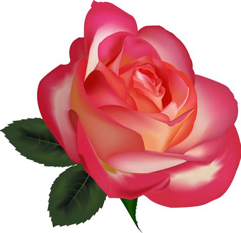 Beautiful Rose Clip Art Clipart Free Download Realistic Clip Art Flowers Png Download Full