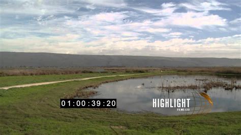 Stock Footage Of Hula Valley Northern Israel Youtube