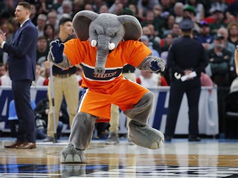 Последние твиты от csu fullerton pd (@csufpd). Creepiest mascots of 2018 NCAA tournament