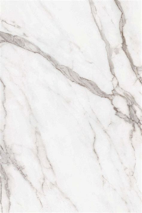 Calacatta Statuario Marble Marble Texture Seamless White Marble
