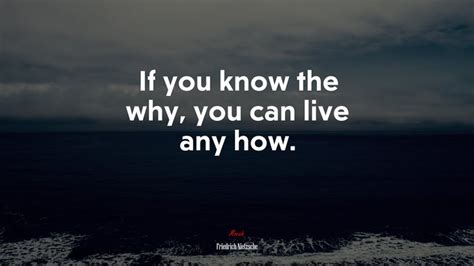If You Know The Why You Can Live Any How Friedrich Nietzsche Quote
