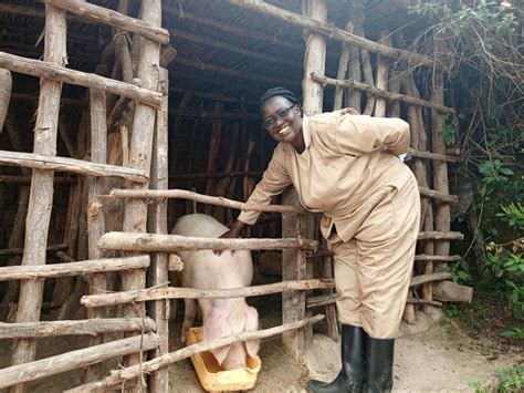 Openenabel Belgian Development Agency Rwanda Livestock Farmer