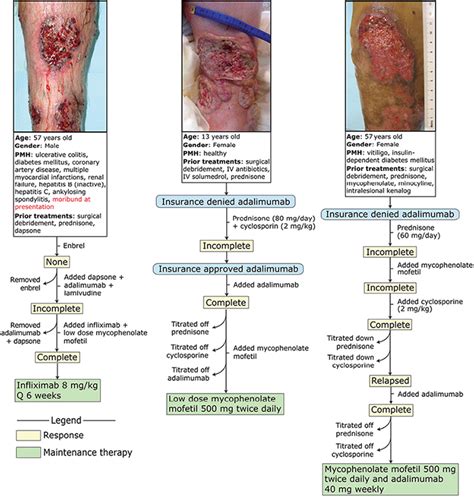 Effective Strategies For The Management Of Pyoderma Gangrenosum A