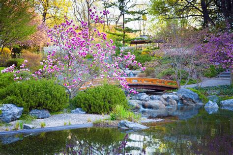 Japanese Garden Elements Types Examples And Pictures Britannica