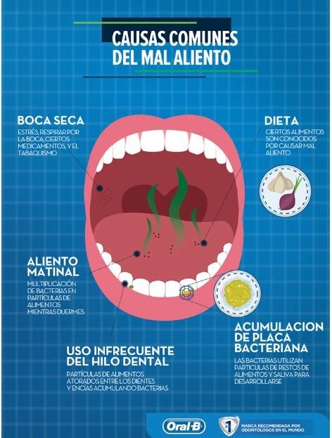 🥇 Cuáles Son Las Principales Causas Del Mal Aliento Y Cómo Tratarlo