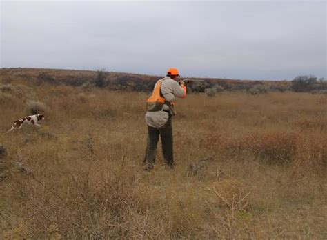 Pros And Cons Of Leasing Your Land For Hunting