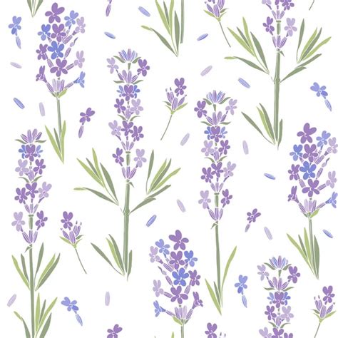 Seamless Pattern Of Lavender Flowers — Stock Vector © Kotkoa 92486146