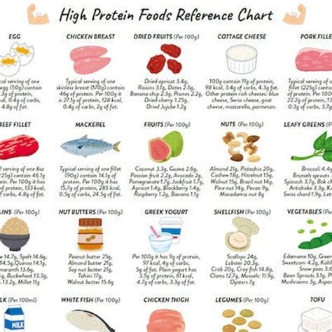 High Protein Foods Reference Chart Printable Instant Etsy