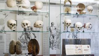 Museum for the present (museum fur gegenwart). Museum - Charité Museum of Medical History Berlin ...