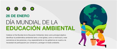 Consejos para celebrar el Día Mundial de la Educación Ambiental