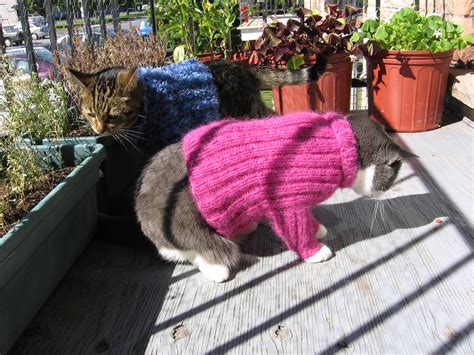 While a traditional cardigan is nice, there's also come cool modern variations on knitting patterns. Cat sweater | A free knitting pattern on my website www ...