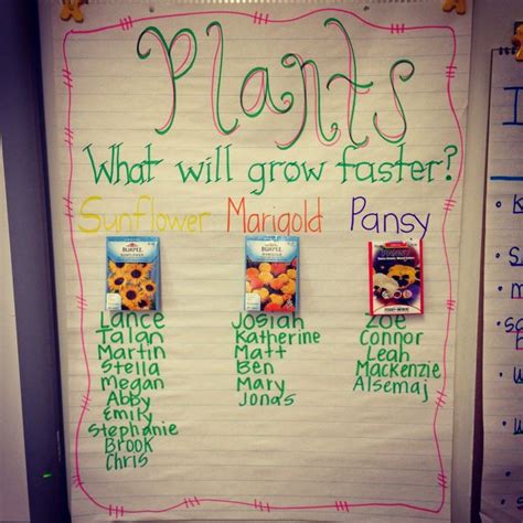 Plants Experiment Anchor Chart Can Ask Same Question
