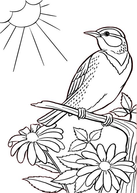 Sparrow Bird On A Tree With Lovely Flowers Printable Coloring Pages