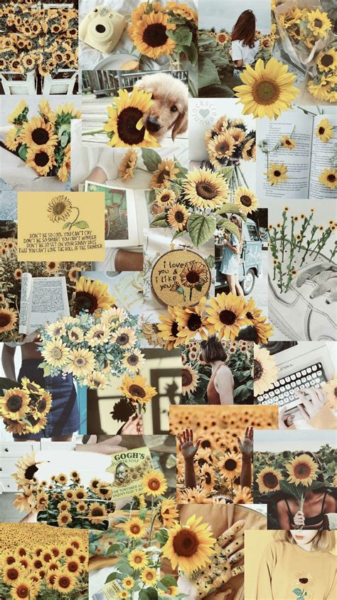 wallpaper Girassol | Papel de parede flores, Papéis de parede vintage, Wallpaper pastel