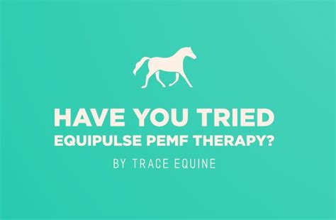 Equine Equipulse Therapy Pemf