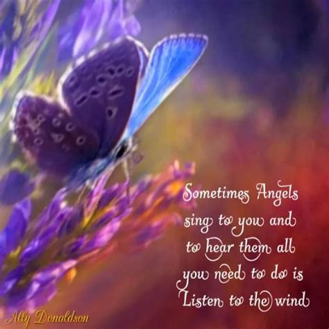 Sometimes Angels Butterfly Quotes Feelings And Emotions Angel