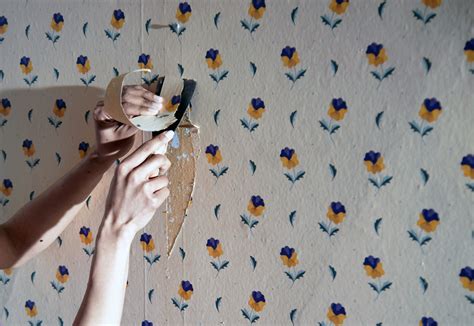 Film I Agree To Lull The Best Way To Remove Old Wallpaper Sea Anemone