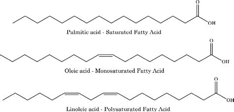 Classification Triglyceride Molecules Download Scientific Diagram