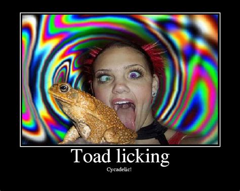 Toad Licking Picture Ebaum S World