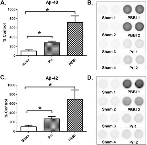 Increased Aβ40 And Aβ42 7 Days Post Tbi Amyloid Levels From Sham Pri