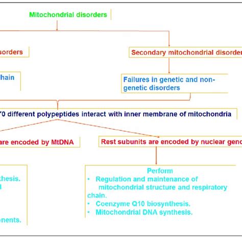 Mitochondrial Disorders Primary And Secondary And Their Operational