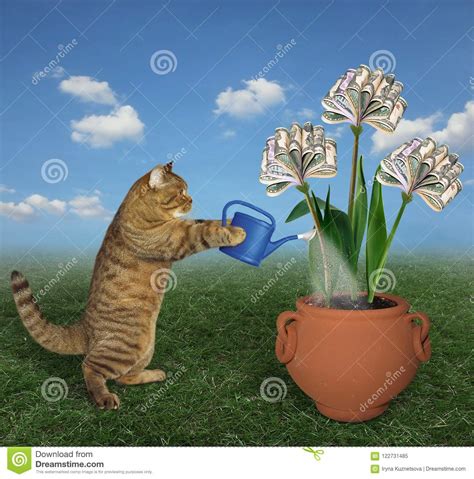 Maybe you would like to learn more about one of these? Cat and his money trees 2 stock image. Image of earn - 122731485