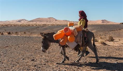 Tuaregs The Nomads Of The Desert Feel Morocco Blog