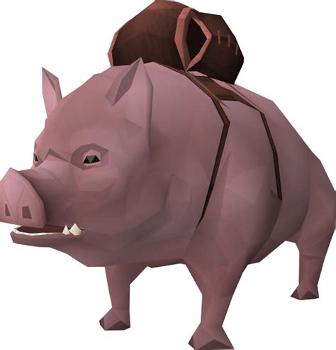 Pig Pet Runescape Wiki Fandom Powered By Wikia