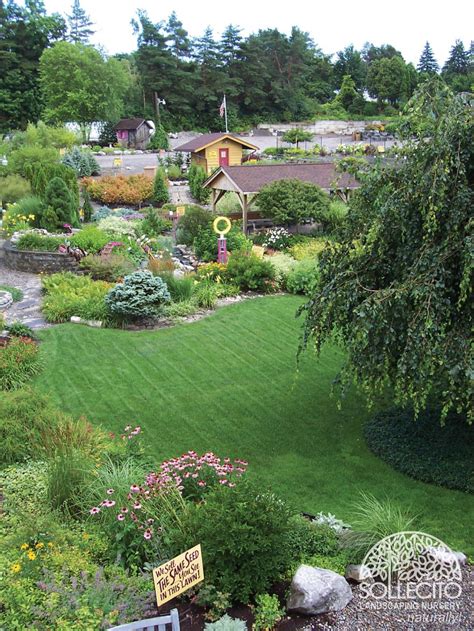 A new and unique way to send flowers direct from flower shops in usa. www.Sollecito.com - Landscaping Ideas for your backyard ...