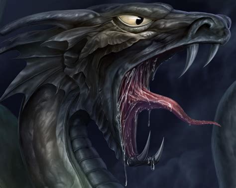 Wallpaper Dragon Teeth Mouth Mythology Beak Computer Wallpaper