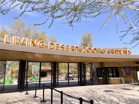 The Living Desert Zoo And Botanical Gardens Olivia Michelle
