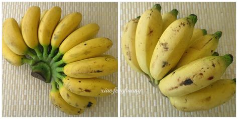 Kebanyakan jenis buah pisang yang diekspor. JENIS-JENIS PISANG DI INDONESIA