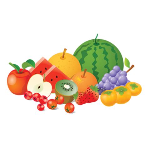 Download High Quality Fruit Clipart Vector Transparent Png Images Art